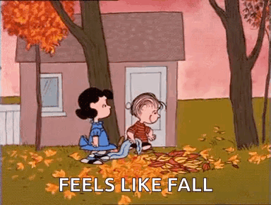 Autumn Seasons GIF - Autumn Seasons Peanuts GIFs