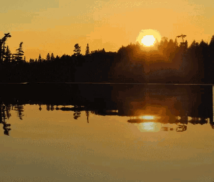 the sun is setting over a lake with trees in the foreground