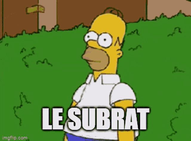homer simpson from the simpsons is standing in the grass with the words le subrat written on the bottom of his shirt .
