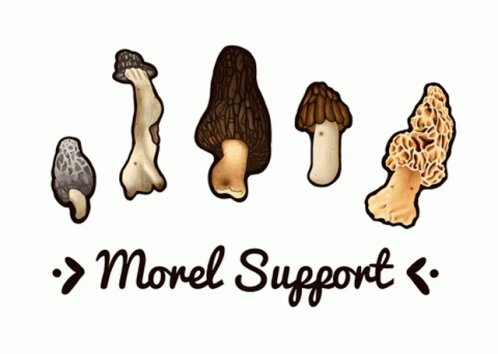 Shrooms Moral Support GIF - Shrooms Moral Support Support GIFs