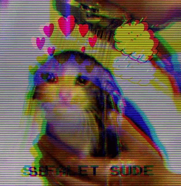 a person is holding a cat wearing a crown with hearts on it and the words sbfanet sude below it