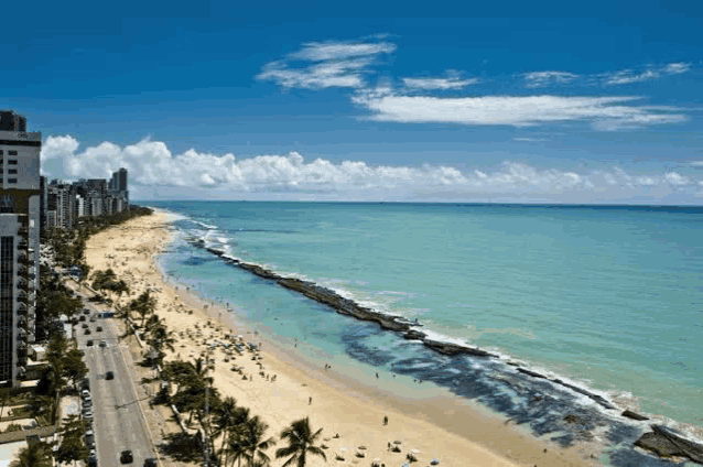 a beach with a lot of people on it