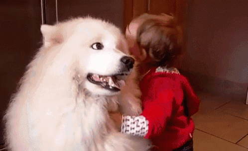 a little girl in a red sweater is hugging a white dog .
