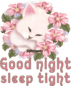 a picture of a cat with the words good night sleep tight on it