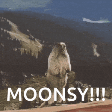 a ground squirrel standing on its hind legs with the words moonsy written on the bottom