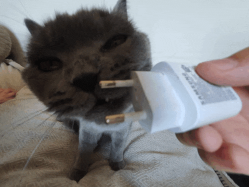 a person is holding a charger with the word samsung on it