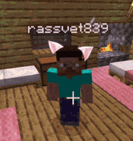 a minecraft character with a cat ear and the name rasswet839