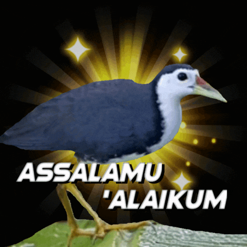 a black and white bird with the words assalamu ' alaikum ' on the bottom