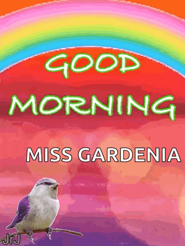 a bird is sitting on a branch with the words good morning miss gardenia
