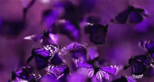 Butterflies GIF - Butterflies Purple Flying GIFs
