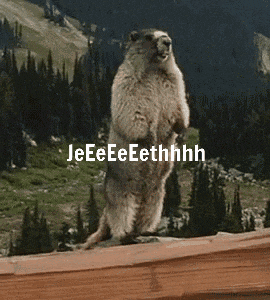 a squirrel standing on its hind legs with the words jeeeeeeethhhh written below it