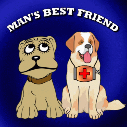 Mans Best Friend Dogs GIF - Mans Best Friend Dogs St Bernard Dog GIFs