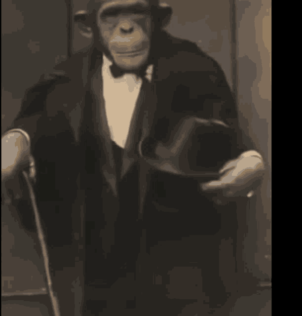 a chimpanzee in a tuxedo holding a cane and a hat