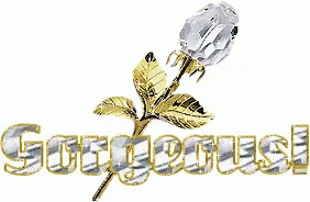 Gorgeous Diamond GIF - Gorgeous Diamond Flower GIFs