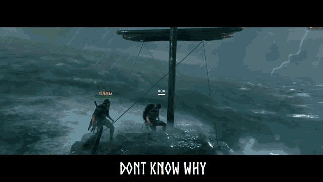a screenshot of a video game with the words " dont know why "