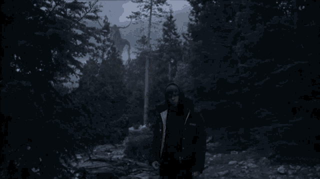 a man in a black jacket is walking through a dark forest with a deer in the background