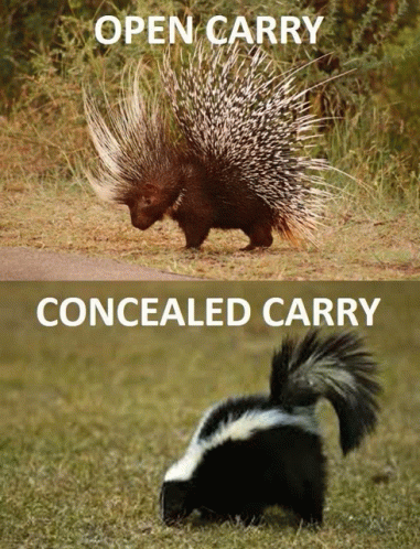 Open Carry Concealed Carry GIF - Open Carry Concealed Carry GIFs