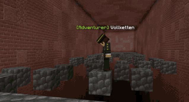 a screenshot of a video game with the name adventurer on the top left