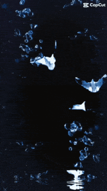 a woman is surrounded by blue bubbles and the name deniz is on the bottom