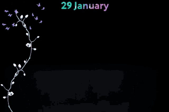 a black background with the date 29 january