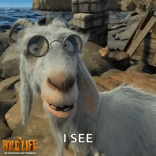 Goat The Wild Life GIF - Goat The Wild Life I See GIFs