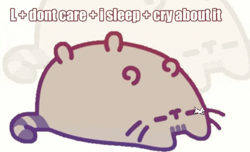 a drawing of a cat with the words " l + dont care + i sleep + cry about it " above it