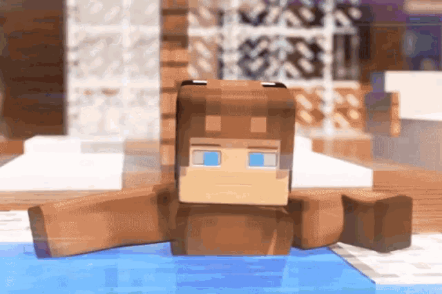 a brown minecraft character with blue eyes is swimming in a pool