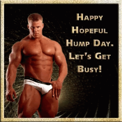 Happy Hump Day Lets Get Busy GIF - Happy Hump Day Lets Get Busy GIFs