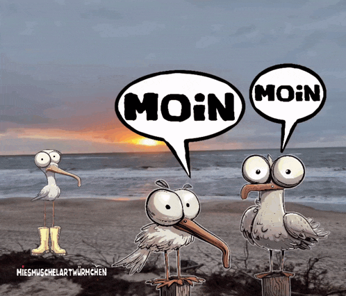 a cartoon of seagulls standing on a beach with a speech bubble that says moin