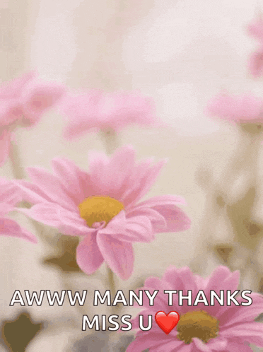 a mother 's day card with pink flowers and the words " happy mother 's day awww many thanks miss u "