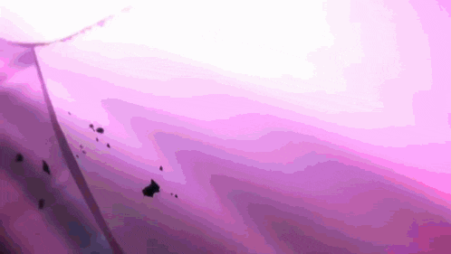 a purple background with a few black spots on it .