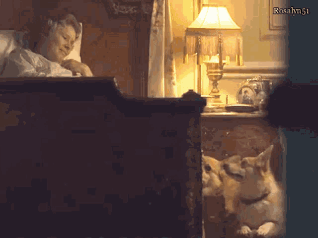 a woman laying in bed next to a lamp and a dog with rosalyn51 on the bottom right