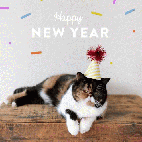 Happy New Year Cats GIF - Happy New Year Cats Funny Animals GIFs