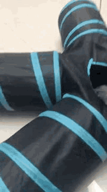 a black and blue cat tunnel is sitting on a white surface .
