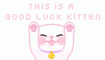 Good Luck GIF - Good Luck Kitten Good Luck GIFs