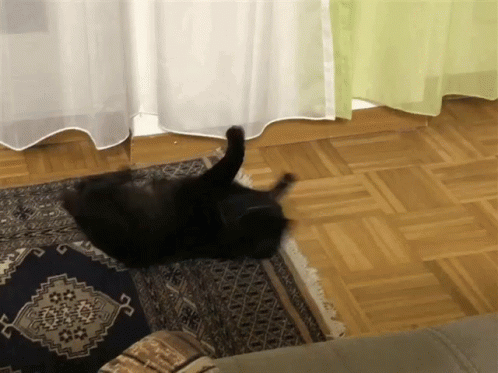 Cat Rollover GIF - Cat Rollover Merlin GIFs