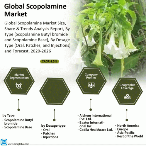 Global Scopolamine Market GIF - Global Scopolamine Market GIFs