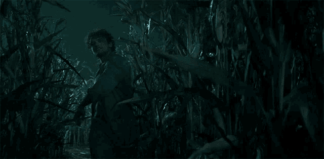 a man without a shirt is standing in a corn field at night