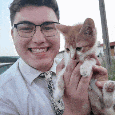 a man wearing glasses and a tie holds a kitten