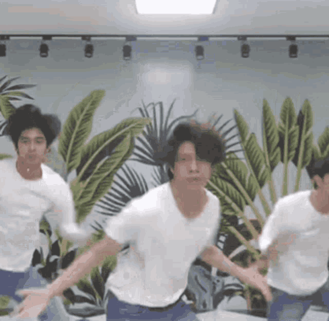 a group of young men are dancing in front of a wall with plants on it