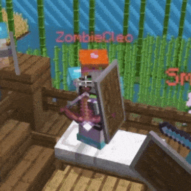 a screenshot of a video game with the name zombiecleo written on it