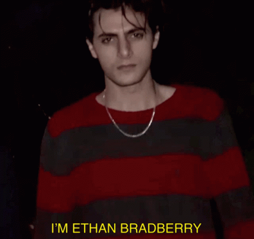 Im Ethan Bradberry This Ethan GIF - Im Ethan Bradberry This Ethan H3h3 GIFs