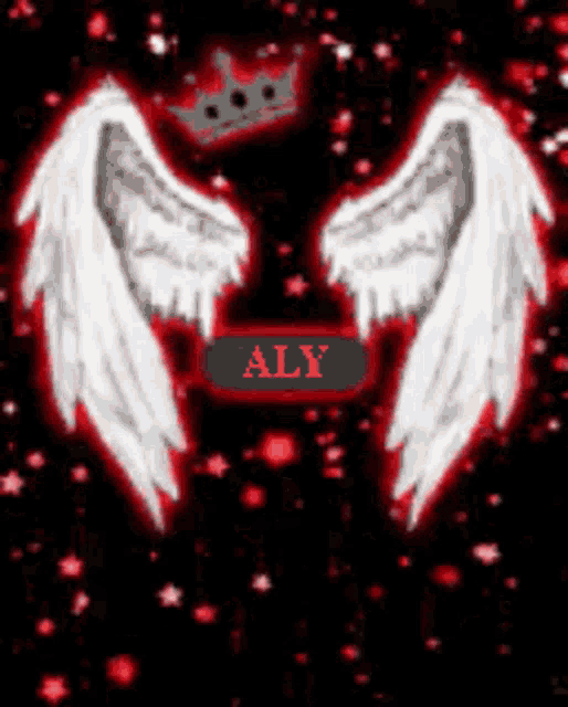 a pair of white angel wings with a crown and the name aly on a black background
