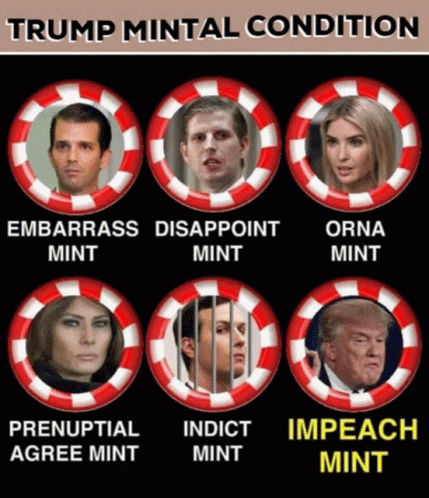 Politics Trump GIF - Politics Trump Impeachment GIFs