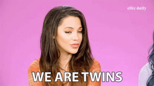 We Are Twins GIF - We Are Twins Siblings GIFs