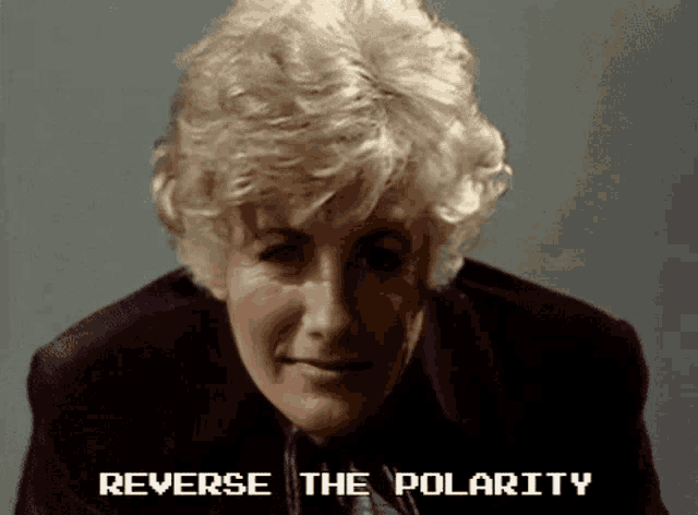 a pixelated image of a woman with the words " reverse the polarity " below her