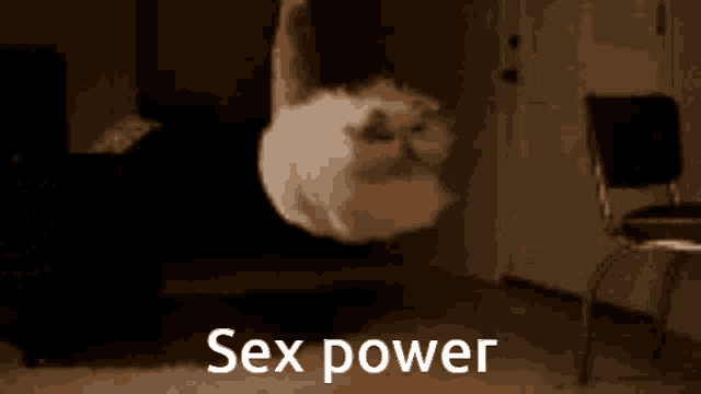 a cat is jumping in the air with the words sex power written below it