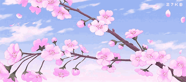 a cherry blossom tree branch with pink flowers against a blue sky with 27kb written below it