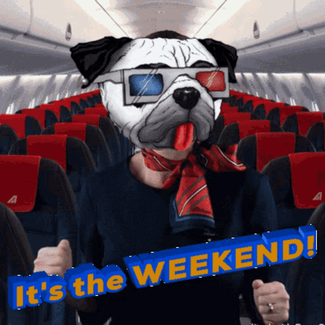 a bulldog wearing 3d glasses and a scarf holds a banner that says it 's the weekend