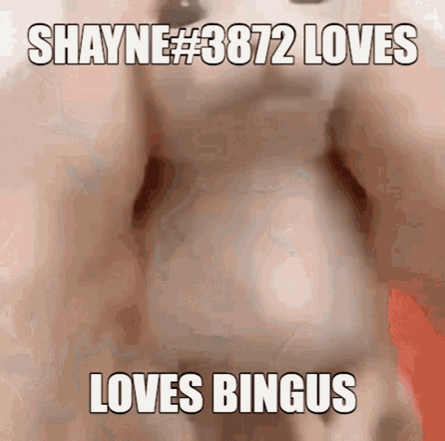 Bingus Binguscord GIF - Bingus Binguscord Shayne GIFs